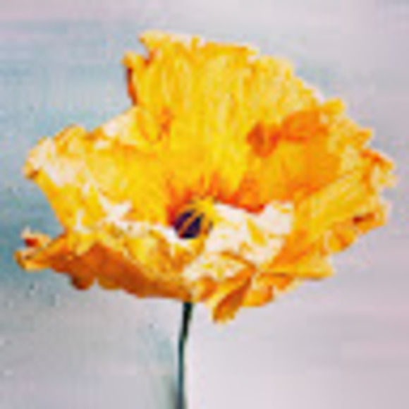 givepaperflora